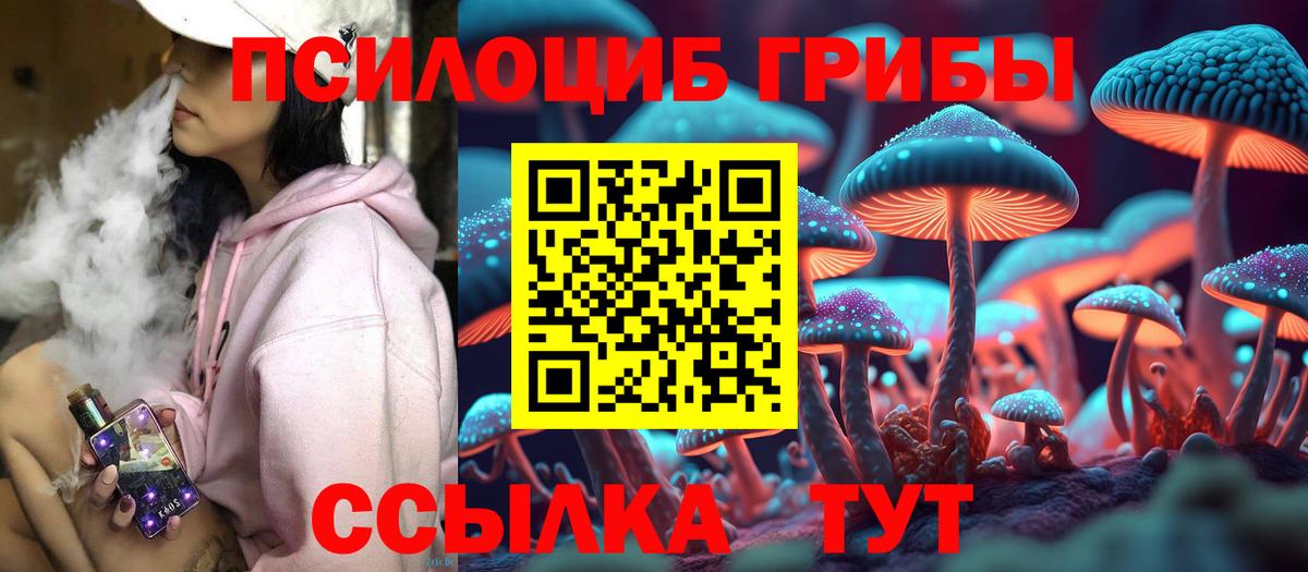 Галлюциногенные грибы Magic Shrooms Выборг