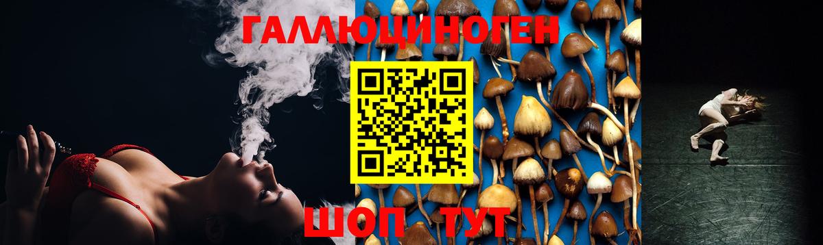 наркошоп  Вход с VPN  Выборг  Псилоцибиновые грибы Cubensis 